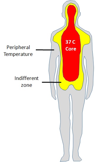 Body Temperatures.